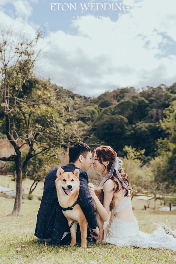 台中紀念寫真,台中寵物寫真,台中寵物婚紗照,台中婚紗攝影,台中寵物婚紗攝影